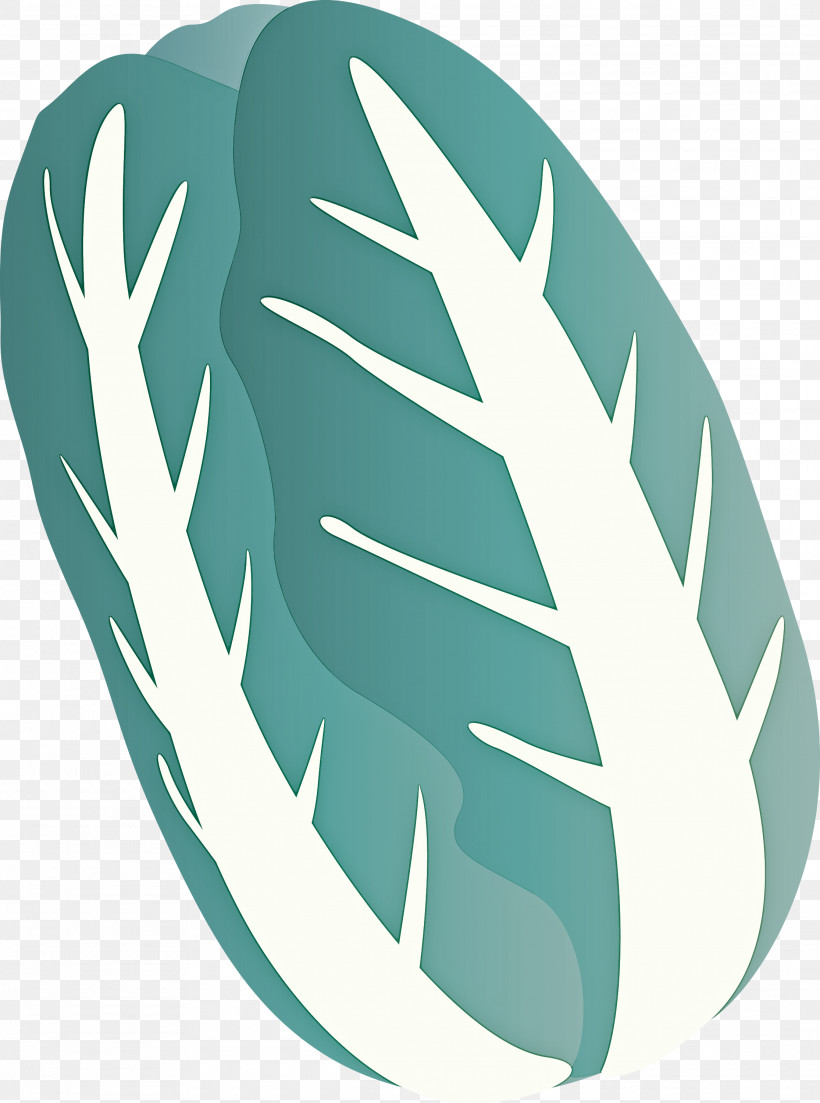 Nappa Cabbage, PNG, 2230x3000px, Nappa Cabbage, Feather, Leaf, Logo, Plant Download Free