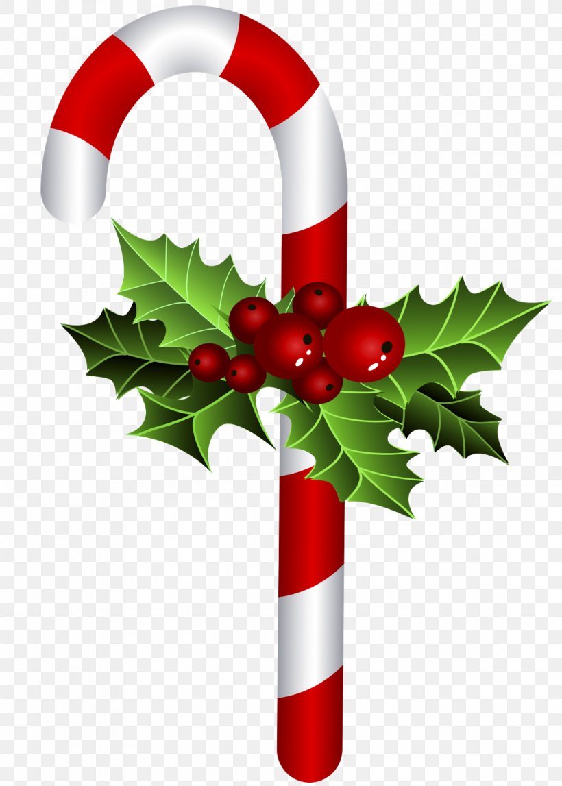 Christmas Ornament Candy Cane Bastone Christmas Tree, PNG, 1143x1600px, Christmas Ornament, Aquifoliaceae, Aquifoliales, Bastone, Candy Cane Download Free