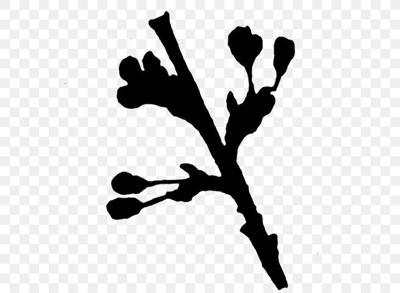 Desktop Wallpaper Clip Art Finger Silhouette Computer, PNG, 700x600px, Finger, Black M, Blackandwhite, Branch, Branching Download Free