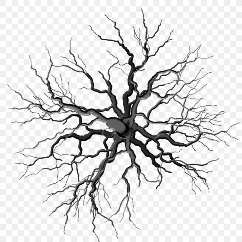 Tree Branch Root Woody Plant Symbol, PNG, 1000x1000px, Tree, Artwork, Black And White, Branch, Drawing Download Free