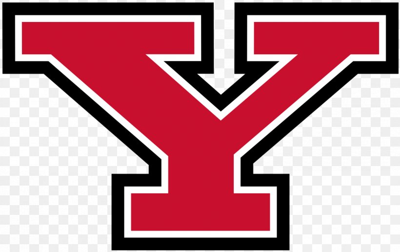 Youngstown State University Youngstown State Penguins Football Youngstown State Penguins Men's Basketball Wright State University University Of Detroit Mercy, PNG, 1200x756px, Youngstown State University, Area, Brand, Cleveland State University, Horizon League Download Free