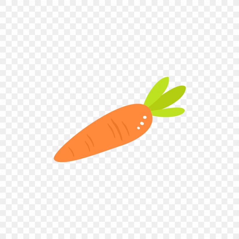 Carrot Red Orange, PNG, 1600x1600px, Carrot, Daucus Carota, Fruit, Gratis, Green Download Free