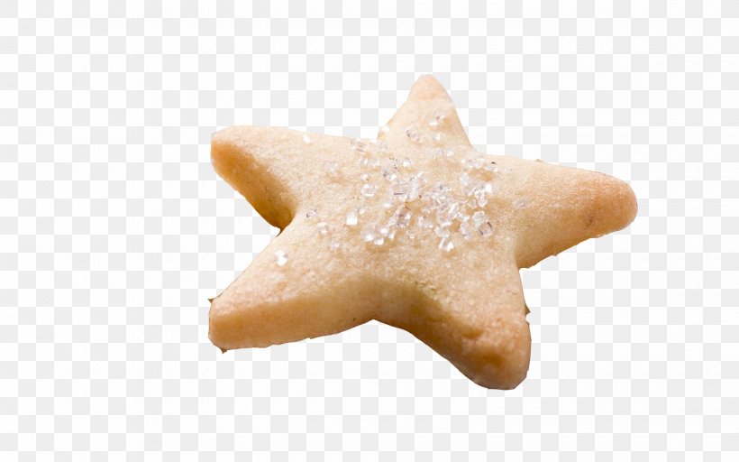 Cookie Starfish, PNG, 1440x900px, Cookie, Cookies And Crackers, Starfish Download Free