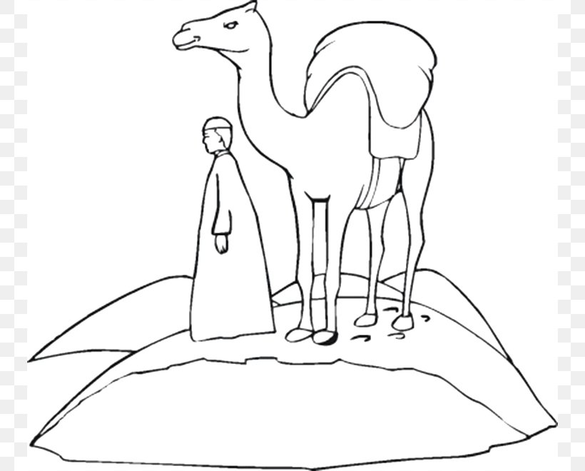 Download Bactrian Camel Coloring Page | Fortune Pro