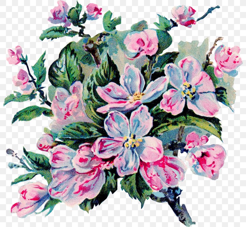 Floral Design Cut Flowers Flower Bouquet Bokmärke, PNG, 800x756px, Floral Design, Antique, Art, Blossom, Cut Flowers Download Free