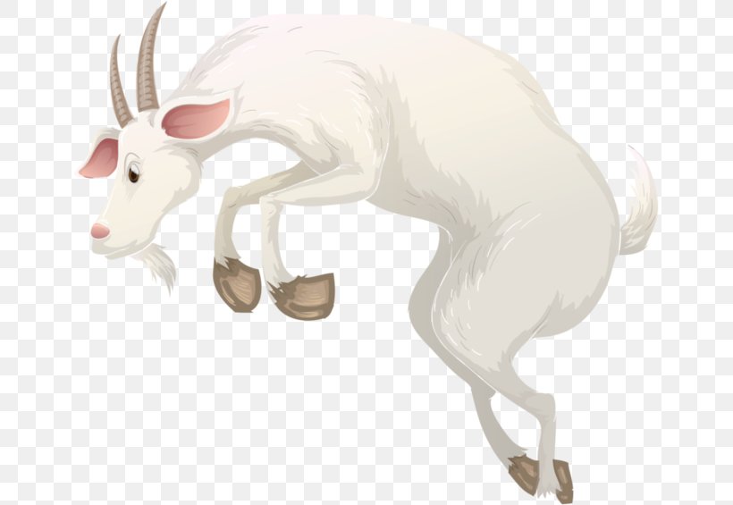 Goat Sheep Cattle Alpine Ibex, PNG, 655x565px, Goat, Alpine Ibex, Animal Figure, Bovid, Caprinae Download Free