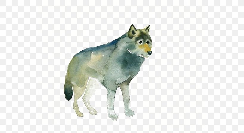 Gray Wolf Red Fox Watercolor Painting Drawing, PNG, 564x448px, Gray Wolf, Animal, Art, Carnivoran, Dog Like Mammal Download Free