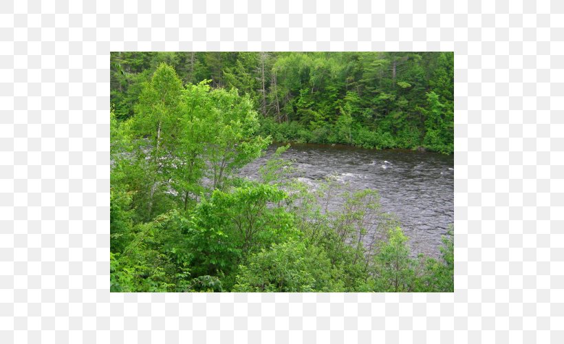 Riparian Zone Water Resources Riparian Forest Vegetation Plant Community, PNG, 500x500px, Riparian Zone, Bank, Bayou, Biome, Bog Download Free