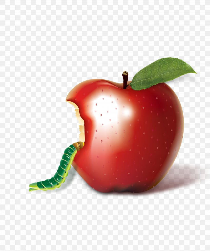 Apple, PNG, 5159x6183px, Apple, Accessory Fruit, Biting, Diet Food, Eating Download Free