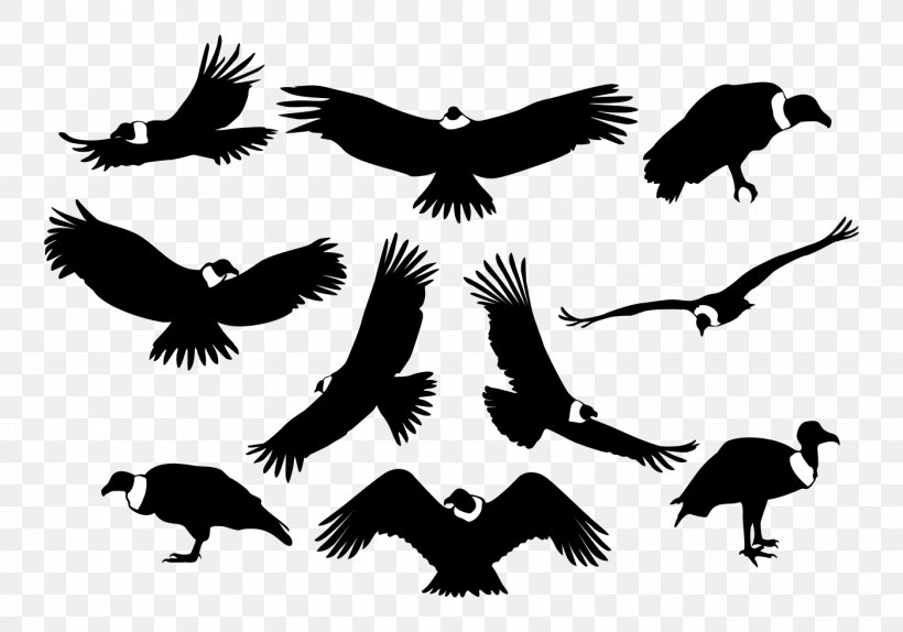 Bird Of Prey Silhouette Condor, PNG, 1400x980px, Bird, Andean Condor, Andes, Animal Migration, Beak Download Free