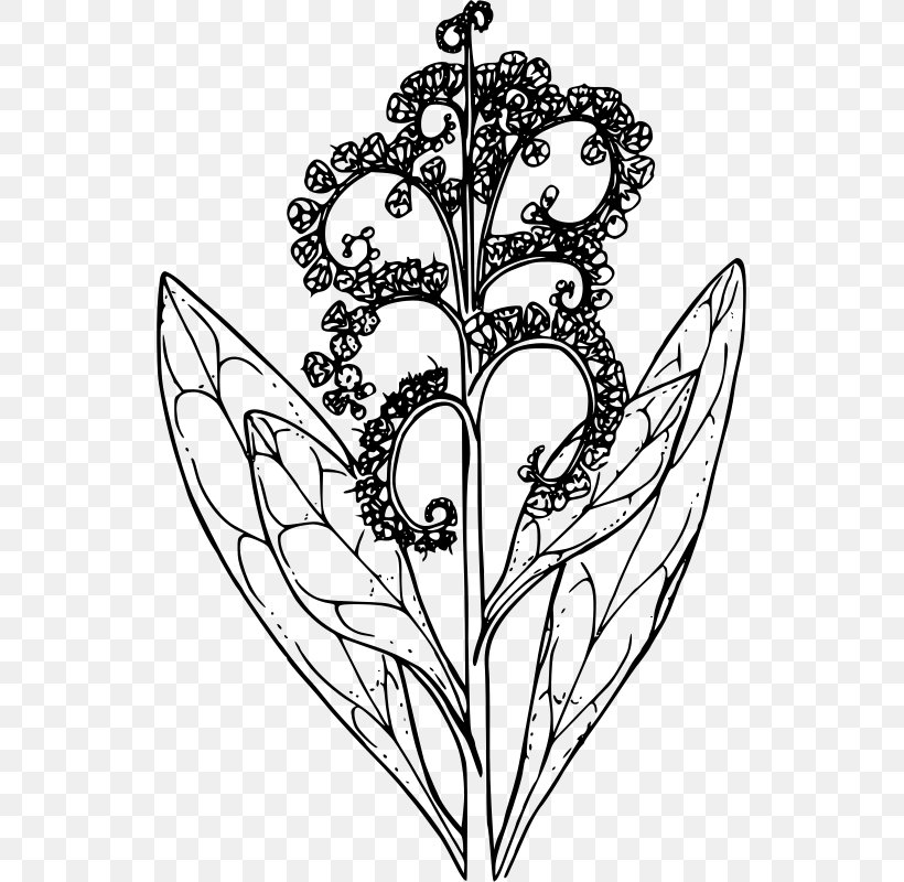 Floral Design Line Art Drawing Clip Art, PNG, 535x800px, Watercolor, Cartoon, Flower, Frame, Heart Download Free