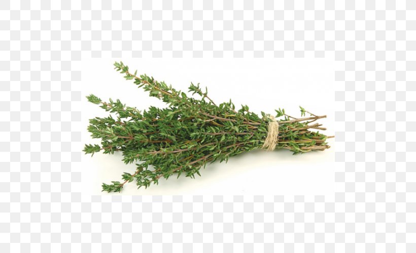 Garden Thyme Pianta Aromatica Breckland Thyme Plant Health, PNG, 500x500px, Garden Thyme, Breckland Thyme, Carvacrol, Essential Oil, Flavor Download Free