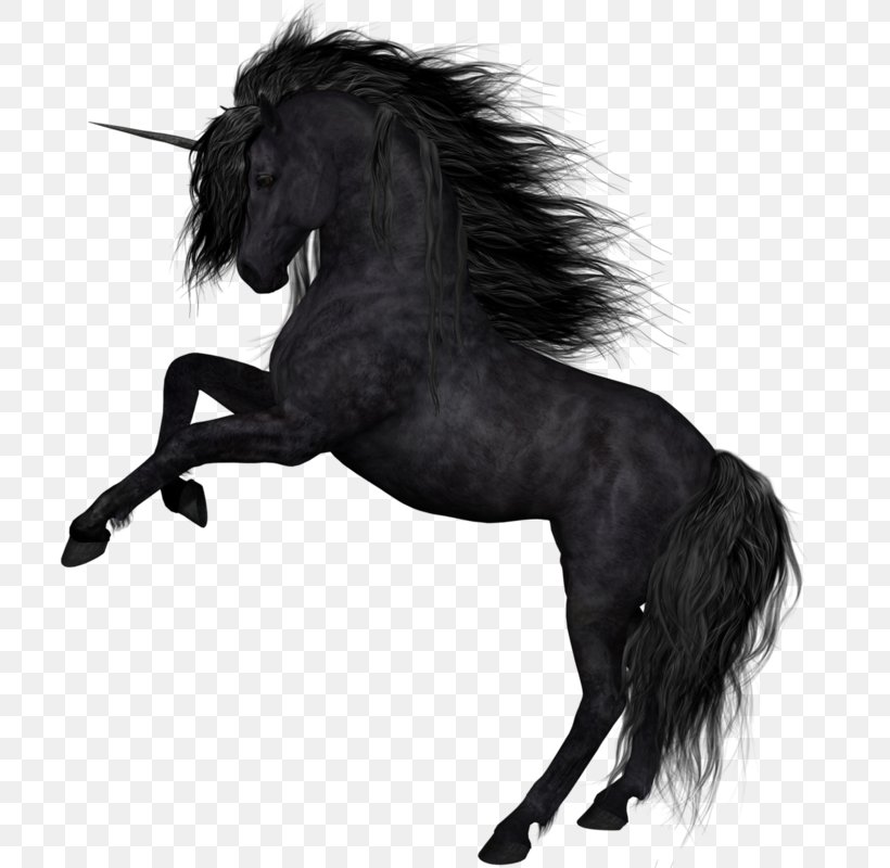 Horse Unicorn Photography Clip Art, PNG, 800x800px, Horse, Black And White, Bridle, Fictional Character, Horse Like Mammal Download Free