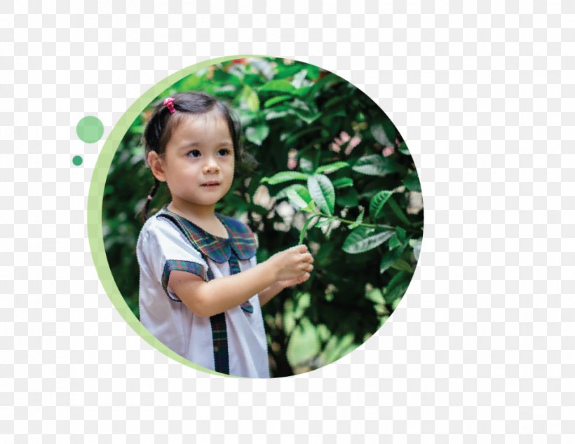 Serangoon Tampines Greenhouse Nursery School Toddler, PNG, 956x740px, Serangoon, Child, Greenhouse, Nursery School, Play Download Free