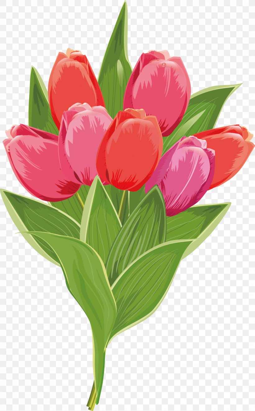 Tulip Euclidean Vector Flower Illustration, PNG, 1029x1658px, Tulip, Art, Cut Flowers, Drawing, Floral Design Download Free