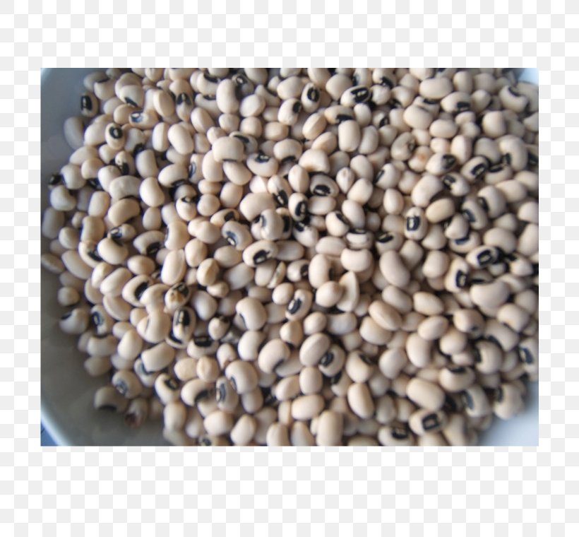 Africa Agriculture Seed Common Bean Black-eyed Pea, PNG, 740x760px, Africa, Agriculture, Bean, Blackeyed Pea, Cfa Franc Download Free