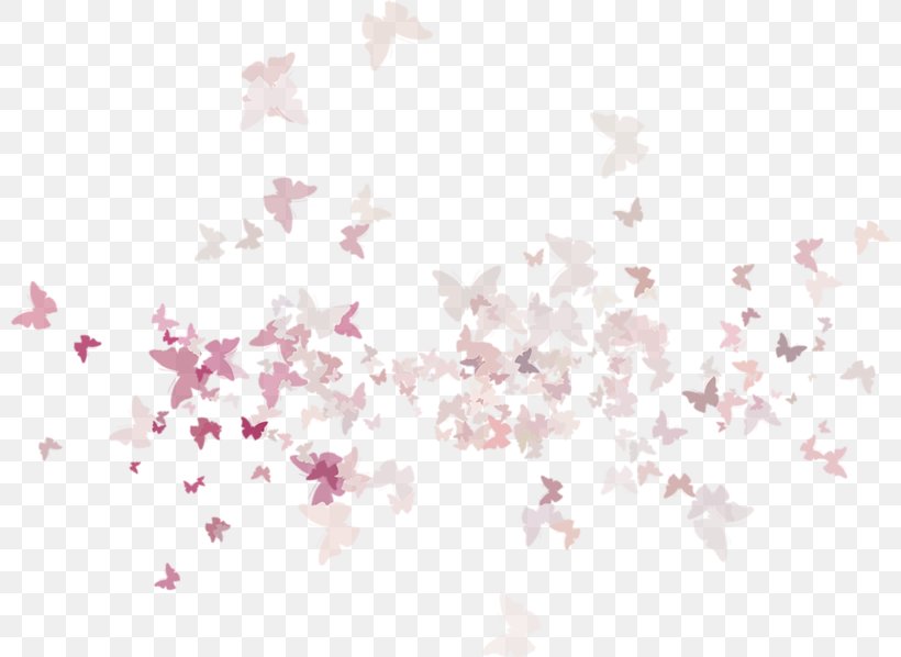 Cherry Blossom ST.AU.150 MIN.V.UNC.NR AD Pink M Petal, PNG, 800x598px, Blossom, Branch, Cherry, Cherry Blossom, Flower Download Free