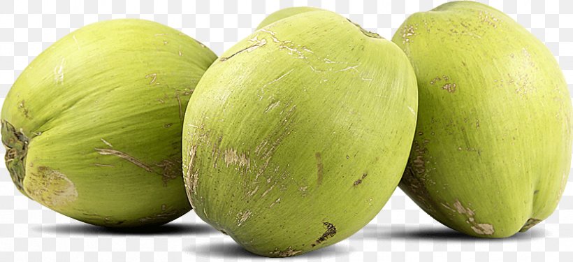 Coconut Water Food Arecaceae Honeydew, PNG, 832x381px, Coconut Water, Arecaceae, Coconut, Cucumber Gourd And Melon Family, Food Download Free