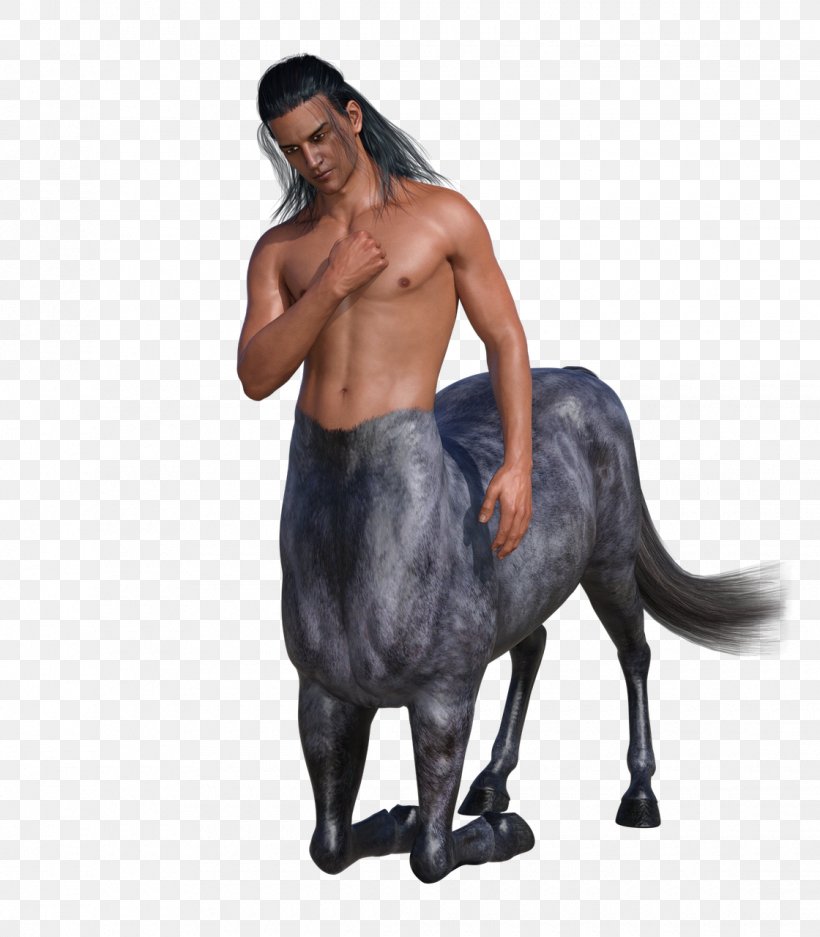 Mustang Legendary Creature Man, PNG, 1120x1280px, Mustang, Animal, Fur, Horse, Horse Like Mammal Download Free