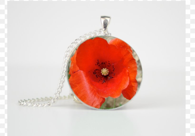 Common Poppy Flower Charms & Pendants Jewellery, PNG, 1024x716px, Poppy, Charms Pendants, Common Poppy, Coquelicot, Flower Download Free