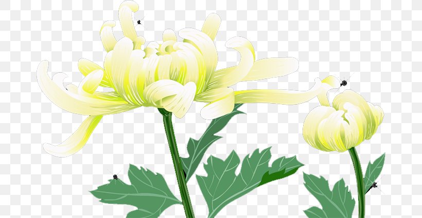 Floral Design Cut Flowers Chrysanthemum Yellow Plant Stem, PNG, 678x425px, Floral Design, Chrysanthemum, Chrysanths, Cut Flowers, Floristry Download Free