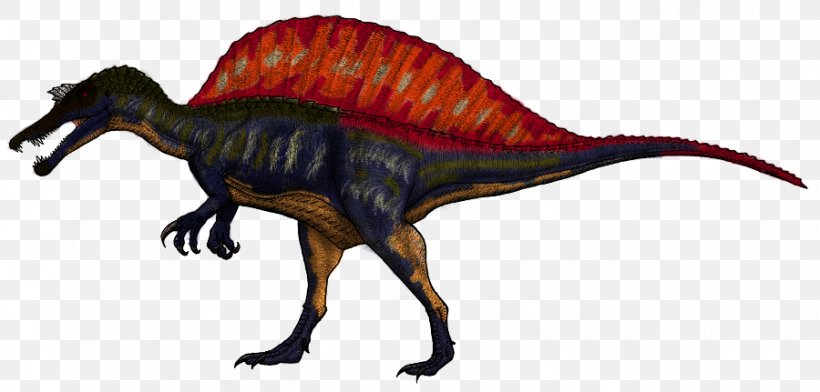 Spinosaurus Baryonyx Suchomimus Irritator Ichthyovenator, PNG, 900x431px, Spinosaurus, Animal Figure, Baryonyx, Carcharodontosauridae, Dinosaur Download Free