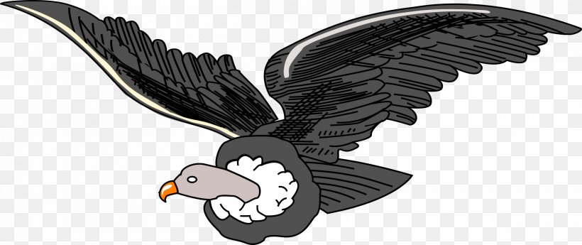 Bird Condor Clip Art, PNG, 2400x1010px, Bird, Accipitriformes, Andean Condor, Animal Figure, Beak Download Free