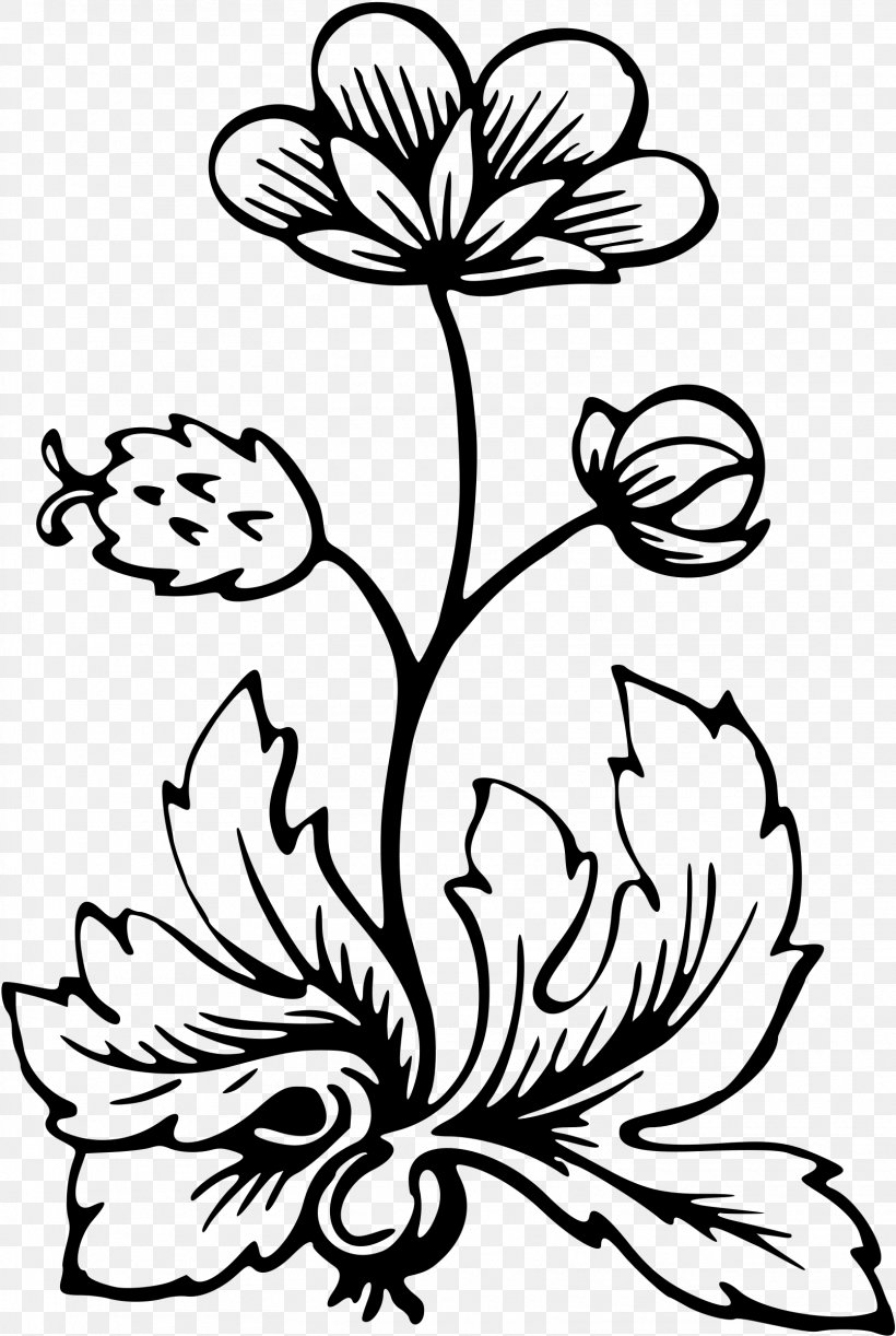 Flower Flora Clip Art, PNG, 1610x2400px, Flower, Artwork, Black And White, Branch, Chrysanths Download Free