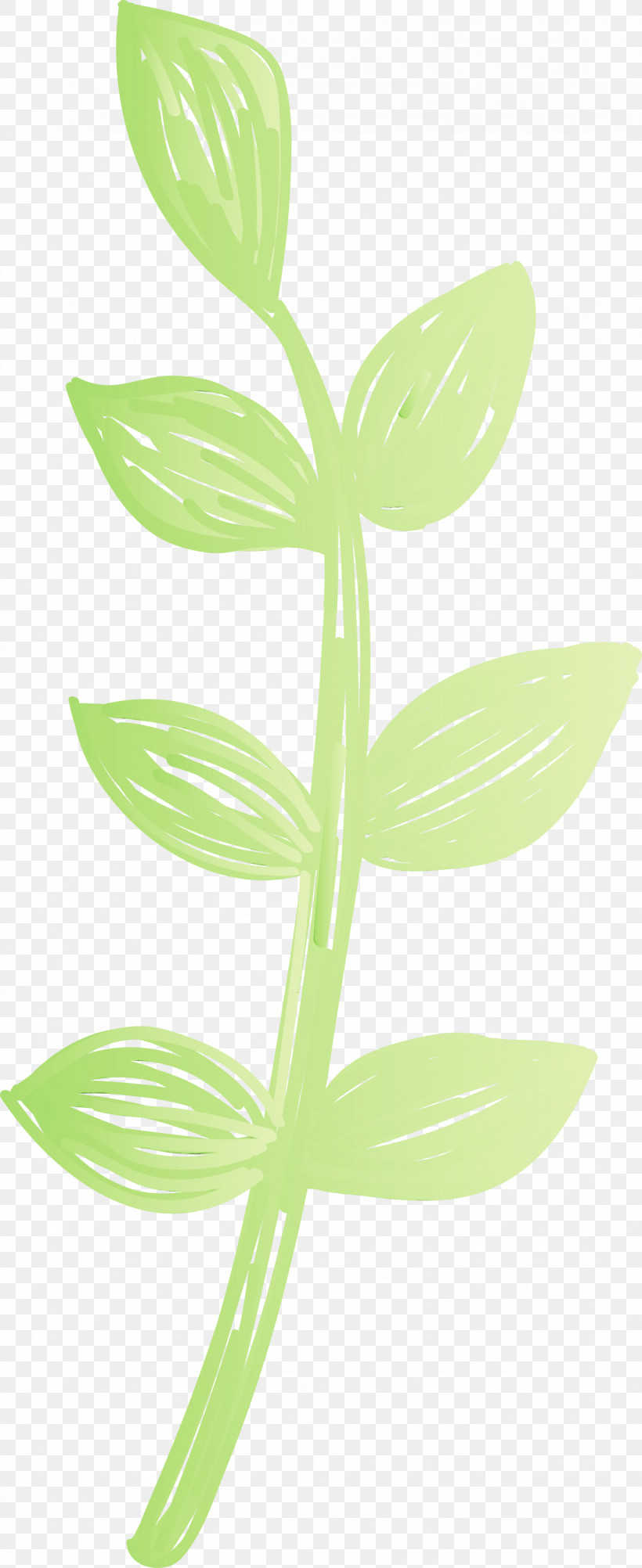 Leaf Plant Stem Flower Plants Science, PNG, 1227x2999px, Mexico Elements, Biology, Flower, Leaf, Paint Download Free