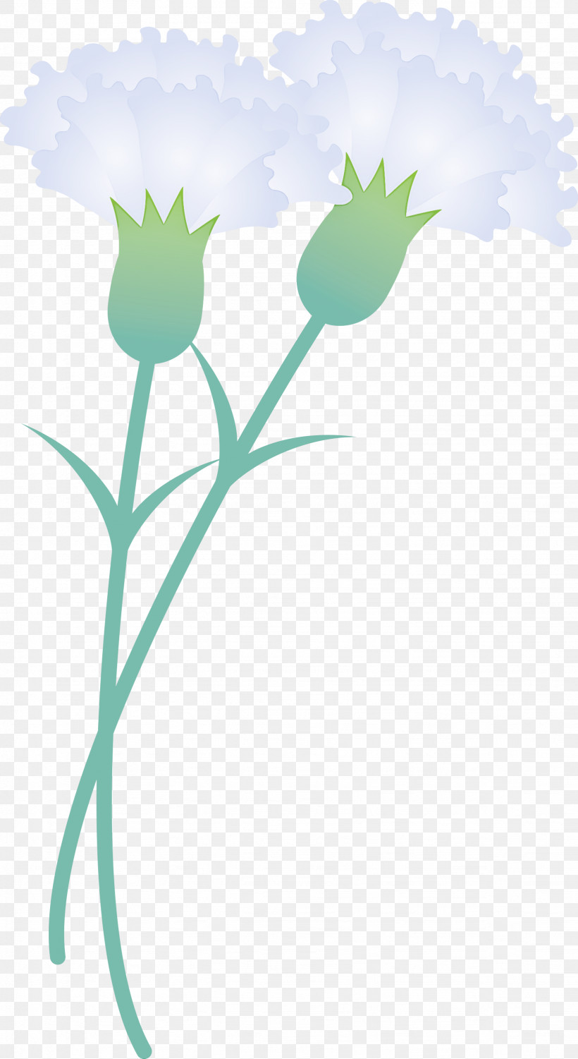 Mothers Day Carnation Mothers Day Flower, PNG, 1638x3000px, Mothers Day Carnation, Flower, Mothers Day Flower, Pedicel, Plant Download Free