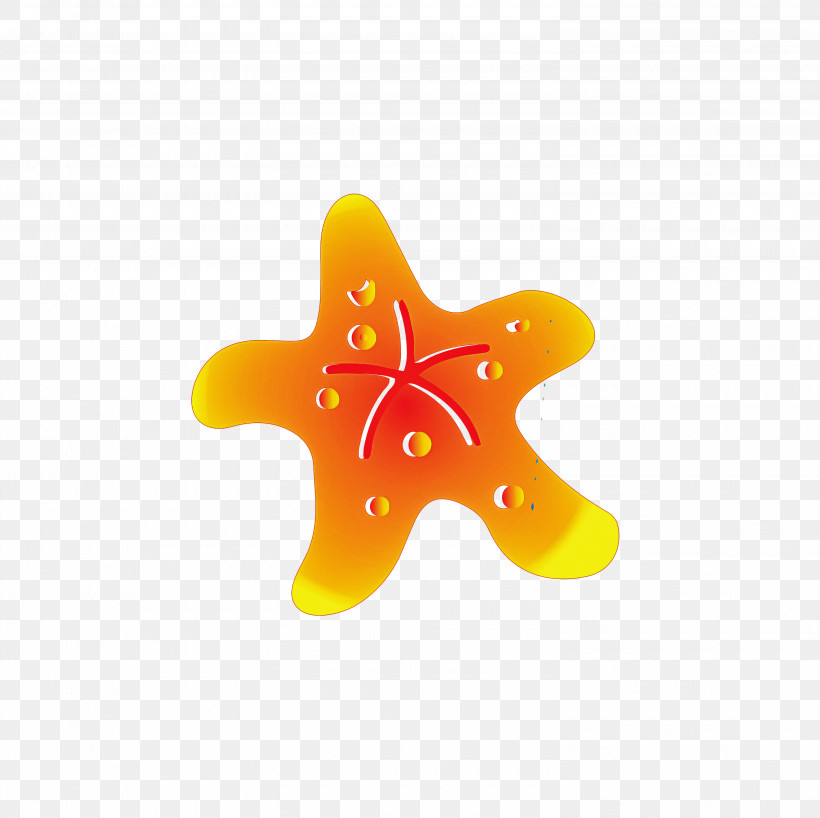 Orange, PNG, 3000x2995px, Yellow, Orange, Star, Starfish Download Free