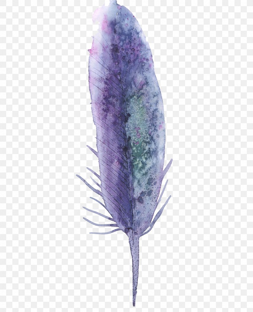 Purple Feather Watercolor Painting, PNG, 1587x1961px, Purple, Color, Feather, Lavender, Leaf Download Free