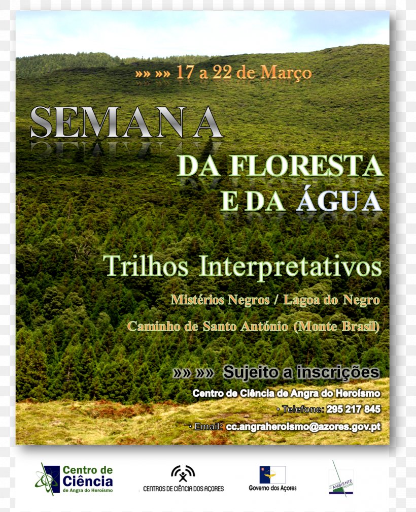 Câmara Do Comércio De Angra Do Heroísmo Plant Community Centro Histórico De Angra Do Heroísmo Grassland Nature Reserve, PNG, 1252x1540px, Plant Community, Advertising, Blog, Ecoregion, Ecosystem Download Free