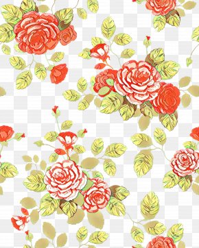 Rose Family Plant - Floral Flower Background PNG