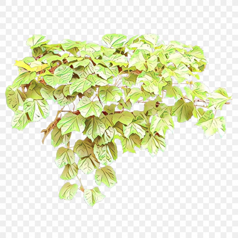 Flower Plant Leaf Flowering Plant Hydrangea, PNG, 1200x1200px, Cartoon, Aquarium Decor, Cornales, Flower, Flowering Plant Download Free