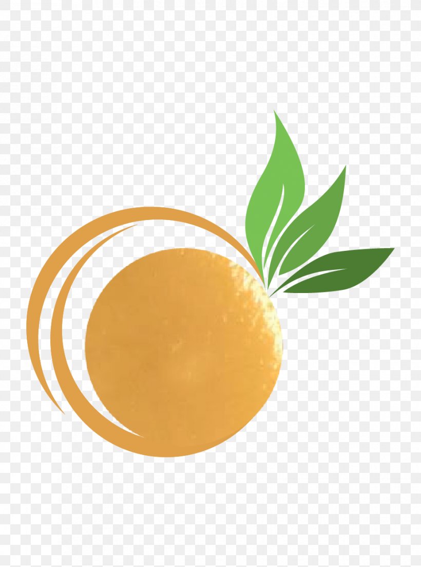 Orange S.A., PNG, 929x1250px, Orange Sa, Food, Fruit, Orange Download Free