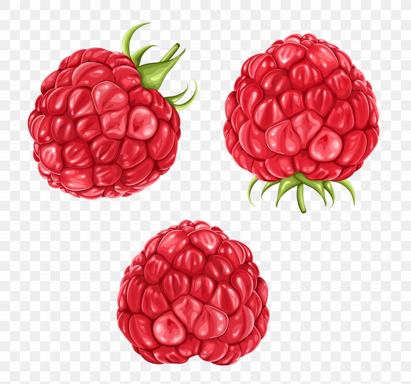 Raspberry Blackberry Fruit Clip Art, PNG, 5280x4930px, Raspberry, Berry, Blackberry, Boysenberry, Compote Download Free