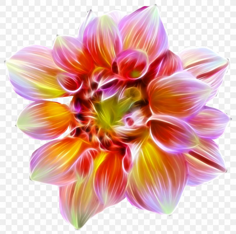 Flower Dahlia Desktop Wallpaper, PNG, 1280x1267px, Flower, Annual Plant, Cut Flowers, Dahlia, Daisy Family Download Free