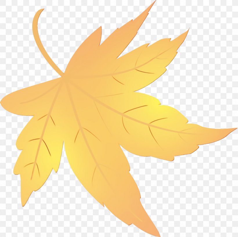 Maple Leaf, PNG, 1026x1020px, Watercolor, Leaf, Maple, Maple Leaf, Paint Download Free