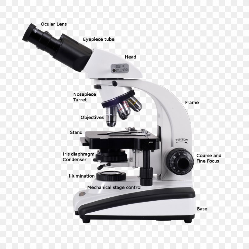 Optical Microscope Digital Microscope Scanning Electron Microscope, PNG, 1000x1000px, Microscope, Condenser, Digital Microscope, Electron Microscope, Eyepiece Download Free