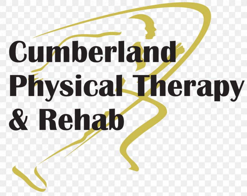 Physical Therapy Physical Medicine And Rehabilitation Range Of Motion Brand, PNG, 939x747px, Physical Therapy, Ankle, Area, Brand, Cardiovascular Fitness Download Free