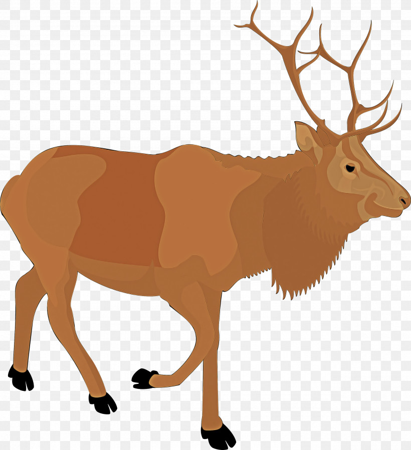 Reindeer, PNG, 2555x2801px, Elk, Antelope, Antler, Deer, Reindeer Download Free