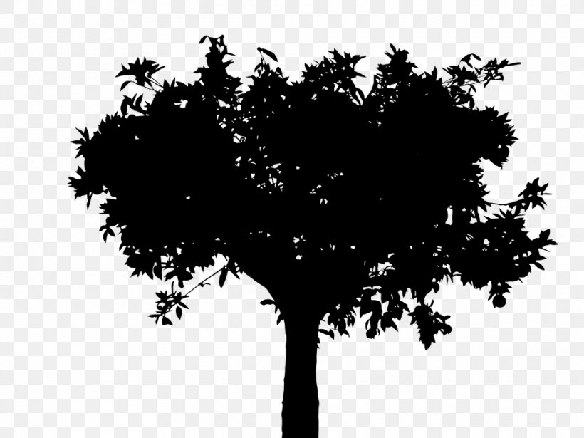 Silhouette Tree Vector Graphics Twig Oak, PNG, 960x720px, Silhouette, Black, Blackandwhite, Branch, Christmas Tree Download Free