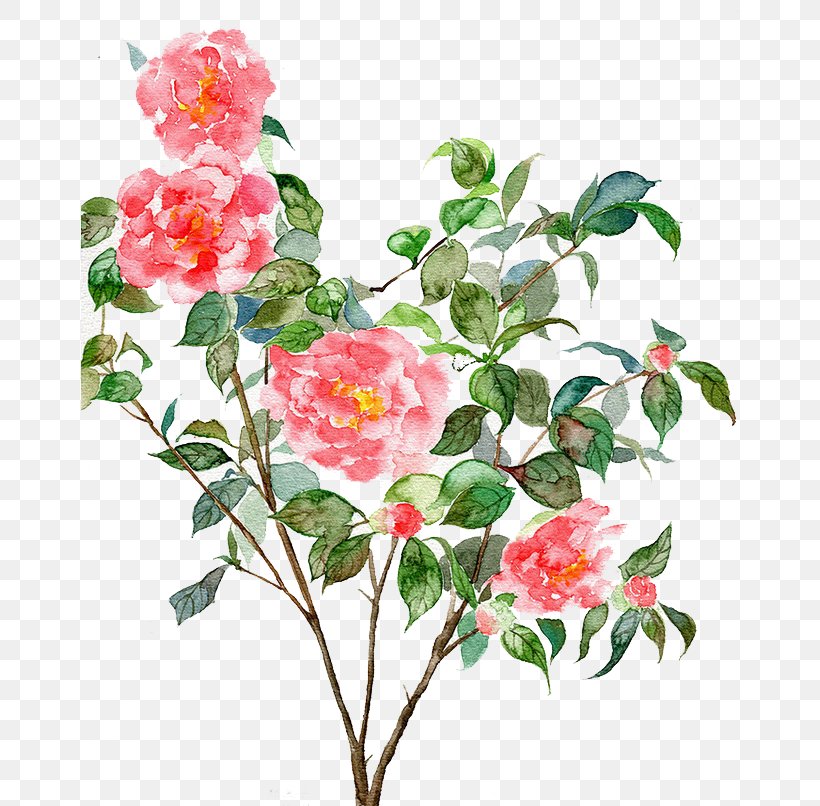 Watercolor Painting Computer Graphics Illustration, PNG, 658x806px, Watercolor Painting, Artificial Flower, Branch, Camellia, Camellia Sasanqua Download Free