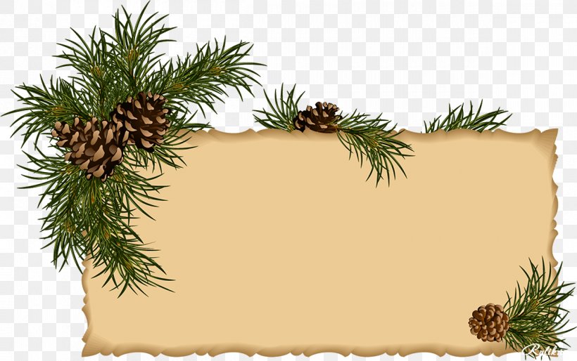 Christmas Ornament Clip Art, PNG, 1200x753px, Christmas Ornament, Branch, Christmas, Christmas Decoration, Conifer Download Free