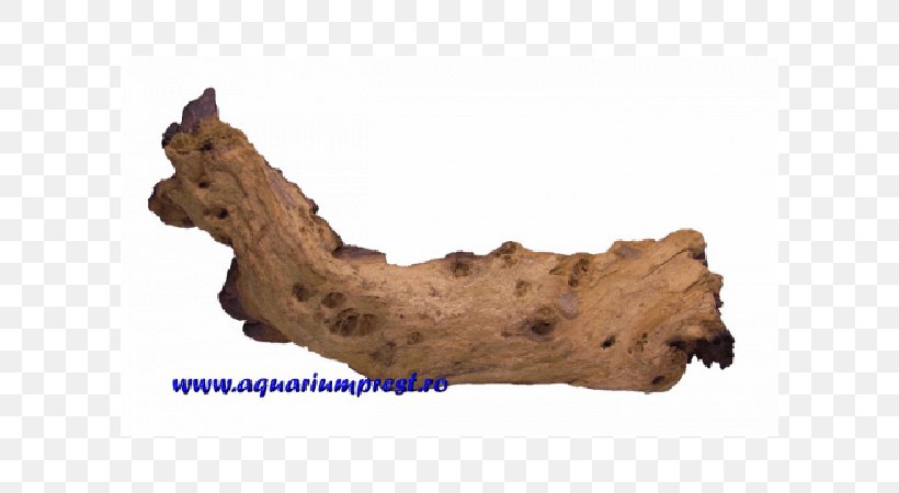 Driftwood Jaw, PNG, 600x450px, Driftwood, Jaw, Wood Download Free