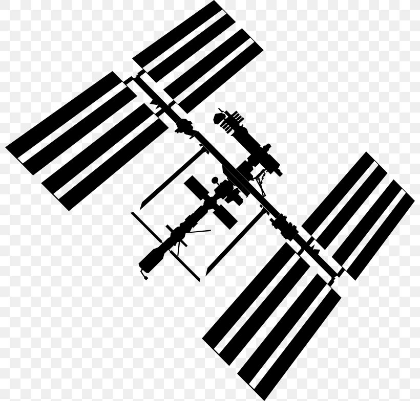 International Space Station STS-118 Clip Art, PNG, 800x784px, International Space Station, Astronaut, Black And White, Chris Hadfield, Docking And Berthing Of Spacecraft Download Free