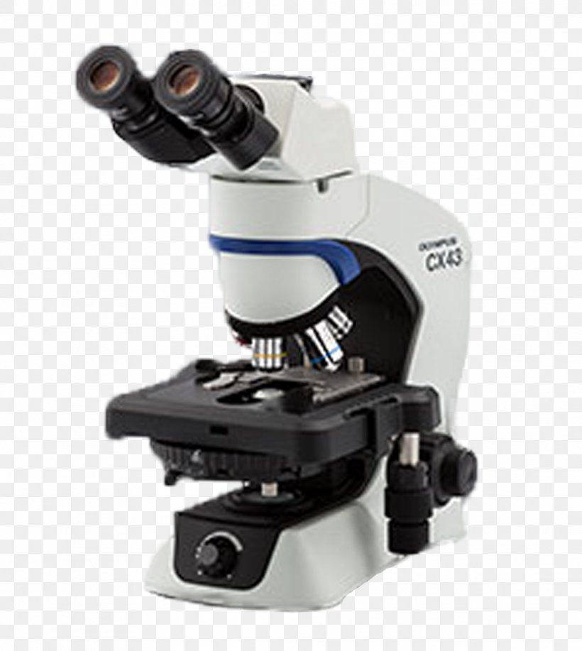 Microscope Olympus Corporation Optics Phase Contrast Microscopy Biology, PNG, 1117x1250px, Microscope, Achromatic Lens, Biological System, Biology, Condenser Download Free