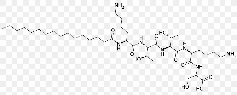 Palmitoyl Pentapeptide-4 Black And White Angle, PNG, 1920x771px, Palmitoyl Pentapeptide4, Black, Black And White, Company, Diagram Download Free