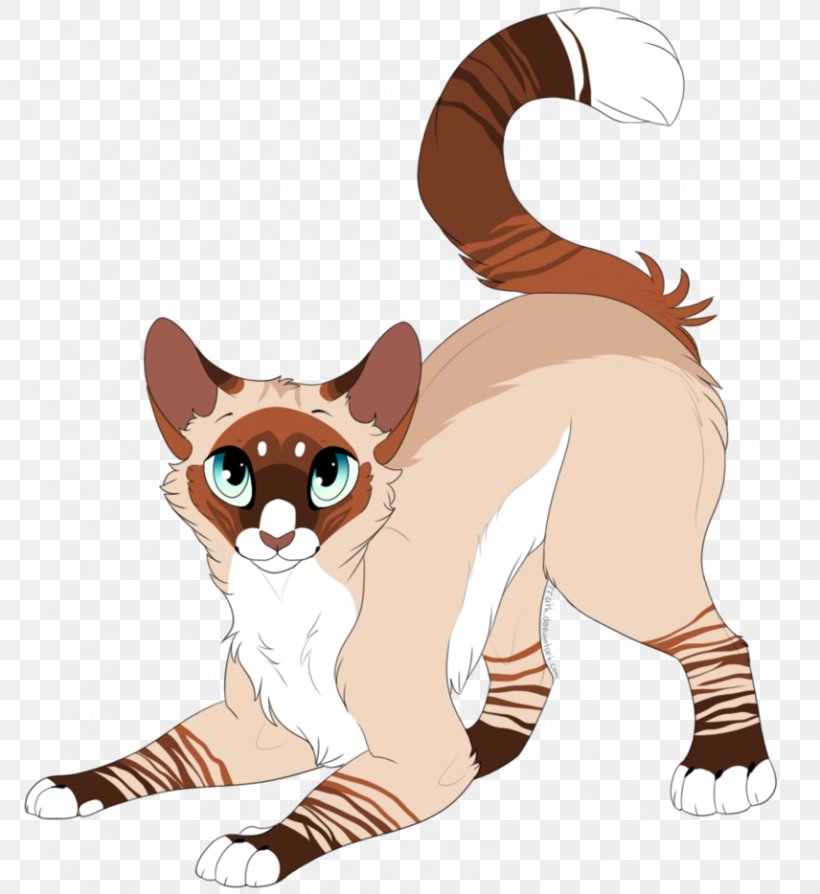 Whiskers Lynx Siamese Cat Point Coloration Havana Brown, PNG, 856x934px, Whiskers, Art, Big Cats, Carnivoran, Cat Download Free
